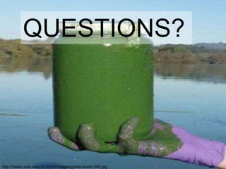 QUESTIONS? 
http://gallery.usgs.gov/photos/371#.UBd0hKOs_uc 
http://news.ucsc.edu/2010/09/images/green-scum-300.jpg 
