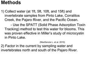 Methods 
1) Collect water (at 1ft, 5ft, 10ft, and 15ft) and 
invertebrate samples from Pinto Lake, Corralitos 
Creek, the Pajaro River, and the Pacific Ocean. 
- Use the SPATT (Solid Phase Adsorption Toxin 
Tracking) method to test this water for blooms. This 
was proven effective in Miller’s study of microcystin 
in Pinto Lake. 
(MacKenzie L. et al. 2010) 
2) Factor in the current by sampling water and 
invertebrates north and south of the Pajaro River. 
 