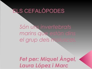 ELS CEFALÒPODES
Són uns invertebrats
marins que estàn dins
el grup dels moluscos.
Fet per: Miquel Àngel,
Laura López i Marc
 