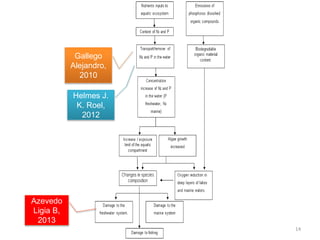 Gallego
Alejandro,
2010
Helmes J.
K. Roel,
2012
Azevedo
Ligia B,
2013
14
 