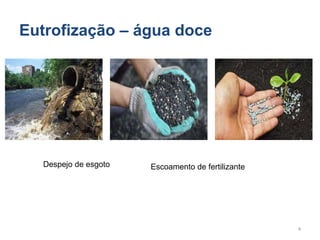 Despejo de esgoto
Eutrofização – água doce
Escoamento de fertilizante
4
 
