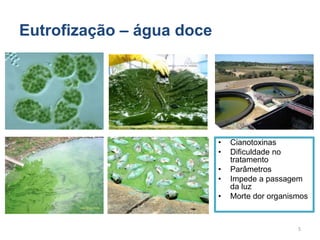 Eutrofização – água doce
• Cianotoxinas
• Dificuldade no
tratamento
• Parâmetros
• Impede a passagem
da luz
• Morte dor organismos
5
 