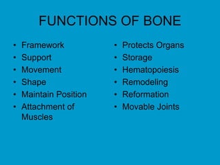 FUNCTIONS OF BONE
• Framework
• Support
• Movement
• Shape
• Maintain Position
• Attachment of
Muscles
• Protects Organs
• Storage
• Hematopoiesis
• Remodeling
• Reformation
• Movable Joints
 