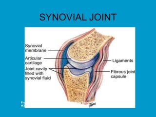 SYNOVIAL JOINT
From Applegate E: The Anatomy and Physiology Learning System, ed. 2, Philadelphia, 2000,
W.B. Saunders.
 