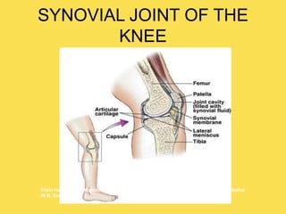 SYNOVIAL JOINT OF THE
KNEE
From Herlihy, B. & Maebius, N. (2000). The human body in health and illness. Philadelphia:
W.B. Saunders.
 