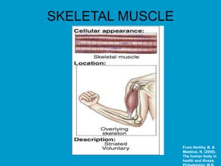 SKELETAL MUSCLE
From Herlihy, B. &
Maebius, N. (2000).
The human body in
health and illness.
 