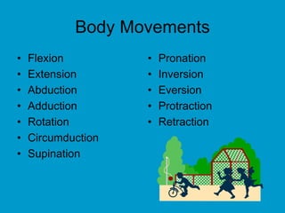 Body Movements
• Flexion
• Extension
• Abduction
• Adduction
• Rotation
• Circumduction
• Supination
• Pronation
• Inversion
• Eversion
• Protraction
• Retraction
 