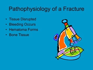 Pathophysiology of a Fracture
• Tissue Disrupted
• Bleeding Occurs
• Hematoma Forms
• Bone Tissue
 