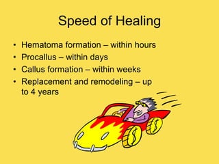 Speed of Healing
• Hematoma formation – within hours
• Procallus – within days
• Callus formation – within weeks
• Replacement and remodeling – up
to 4 years
 