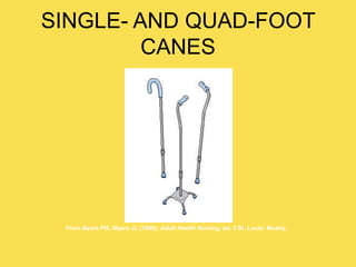 SINGLE- AND QUAD-FOOT
CANES
From Beare PG, Myers JL (1998): Adult Health Nursing, ed. 3 St. Louis: Mosby.
 