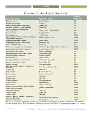 DRAFT
City of San Rafael
Parking Lot Landscape Design & Maintenance Guidelines
v
Trees for Parking Lots in San Rafael
Botanical Name Common Name
Crown
Diameter
Cercis canadensis Eastern Redbud 20'
Chitalpa tashkentensis Chitalpa 20'
Lagerstroemia indica x L. faurei clones Crape Myrtle 20'
Malus sp. 'Snowdrift', 'Golden Raindrops' Crabapple 20'
Prunus cerasifera 'Krauter Vesuvius',
'Thurndercloud'
Cherry Plum or Purple Leaf Plum 20'
Pyrus kawakamii Evergreen Pear 20'
Acer buergerianum Trident Maple 20-25'
Pyrus calleryana 'Trinity', 'Chanticleer', 'Redspire',
'New Bradford', Aristocrat'
Callery or Flowering Pear 20-25'
Acer campestre 'Queen Elizabeth' Hedge Maple 20-30'
Ginko biloba 'Saratoga', 'Autumn Gold' Maidenhair Tree 20-30'
Laurus nobilis 'Saratoga' Sweet Bay 25'
Koelreuteria paniculata, bipinnata, elegans Goldenrain, Chinese Flame, Formosan Flame 25-30'
Ulmus wilsoniana 'Frontier', 'Prospector' Frontier, Prospector Elm 25-30'
Acer fremanii 'Autumn Blaze' Autumn Blaze Maple 30'
Magnolia grandiflora 'Saint Marys', Russet' Southern Magnolia 30'
Pistacia chinensis 'Keith Davey' Chinese Pistache 30'
Sapium sebiferum Chinese Tallow 30'
Ulmus parvifolia 'Athena', 'Allee', 'Drake' Athena, Allee Chinese Elm 30'
Quercus frainetto 'Forest Green' Forest Green Oak 30'
Quercus shumardii Shumard Red Oak 30-40'
Zelkova serrata 'Green Vase', 'Village Green',
'Musashino'
Green Vase or Sawleaf Zelkova 30-60'
Quercus ilex Holly Oak 35'
Celtis australis European Hackberry 35'
Celtis occidentalis Common Hackberry 35'
Quercus lobata Valley Oak 35'
Quercus suber Cork Oak 35'
Quercus virginiana Southern Live Oak 35'
Quercus agrifolia Coast Live Oak 35-40'
Celtis sinensis Chinese Hackberry 35-40'
Fraxinus americana 'Autumn Purple', 'Chicago
Regal', 'Autumn Applause'
White or American Ash 35-40'
Liriodendron tulipfera Tulip tree 35-40'
Quercus phellos Willow Oak 35-40'
Quercus rubra Red Oak 35-40'
Platanus x acerifolia 'Yarwood', 'Bloodgood', x
hispanica, 'Columbia'
London Plane Tree, Sycamore 35-45'
Cinnamomum camphora Camphor Tree 40-60'
*This list was compiled using tree lists specifically recommended for Parking lots, collected from Bay Area municipalities
including Berkeley, Davis, Hayward, Oakland, Palo Alto, Sacramento, San Francisco, Santa Clara Santa Rosa and Sonoma.
 