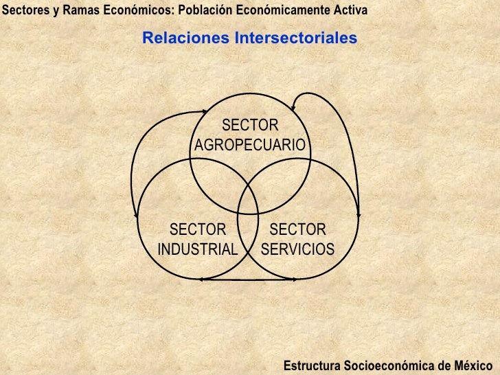 Estructura Socioeconomica de Mexico