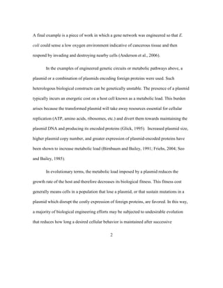 2
A final example is a piece of work in which a gene network was engineered so that E.
coli could sense a low oxygen environment indicative of cancerous tissue and then
respond by invading and destroying nearby cells (Anderson et al., 2006).
In the examples of engineered genetic circuits or metabolic pathways above, a
plasmid or a combination of plasmids encoding foreign proteins were used. Such
heterologous biological constructs can be genetically unstable. The presence of a plasmid
typically incurs an energetic cost on a host cell known as a metabolic load. This burden
arises because the transformed plasmid will take away resources essential for cellular
replication (ATP, amino acids, ribosomes, etc.) and divert them towards maintaining the
plasmid DNA and producing its encoded proteins (Glick, 1995). Increased plasmid size,
higher plasmid copy number, and greater expression of plasmid-encoded proteins have
been shown to increase metabolic load (Birnbaum and Bailey, 1991; Friehs, 2004; Seo
and Bailey, 1985).
In evolutionary terms, the metabolic load imposed by a plasmid reduces the
growth rate of the host and therefore decreases its biological fitness. This fitness cost
generally means cells in a population that lose a plasmid, or that sustain mutations in a
plasmid which disrupt the costly expression of foreign proteins, are favored. In this way,
a majority of biological engineering efforts may be subjected to undesirable evolution
that reduces how long a desired cellular behavior is maintained after successive
 