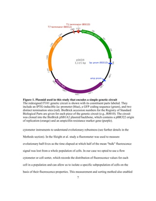 7
cytometer instruments to understand evolutionary robustness (see further details in the
Methods section). In the Sleight et al. study a fluorometer was used to measure
evolutionary half-lives as the time elapsed at which half of the mean "bulk" fluorescence
signal was lost from a whole population of cells. In our case we opted to use a flow
cytometer or cell sorter, which records the distribution of fluorescence values for each
cell in a population and can allow us to isolate a specific subpopulation of cells on the
basis of their fluorescence properties. This measurement and sorting method also enabled
Figure 1. Plasmid used in this study that encodes a simple genetic circuit
The redesigned I7101 genetic circuit is shown with its constituent parts labeled. They
include an IPTG-inducible lac promoter (blue), a GFP coding sequence (green), and two
distinct termination sites (red). BioBrick accession numbers for the Registry of Standard
Biological Parts are given for each piece of the genetic circuit (e.g., R0010). The circuit
was cloned into the BioBrick pSB1A2 plasmid backbone, which contains a pBR322 origin
of replication (orange) and an ampicillin resistance marker gene (purple).
 