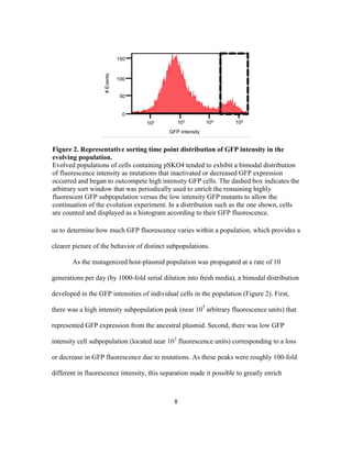 8
us to determine how much GFP fluorescence varies within a population, which provides a
clearer picture of the behavior of distinct subpopulations.
As the mutagenized host-plasmid population was propagated at a rate of 10
generations per day (by 1000-fold serial dilution into fresh media), a bimodal distribution
developed in the GFP intensities of individual cells in the population (Figure 2). First,
there was a high intensity subpopulation peak (near 105
arbitrary fluorescence units) that
represented GFP expression from the ancestral plasmid. Second, there was low GFP
intensity cell subpopulation (located near 103
fluorescence units) corresponding to a loss
or decrease in GFP fluorescence due to mutations. As these peaks were roughly 100-fold
different in fluorescence intensity, this separation made it possible to greatly enrich
Figure 2. Representative sorting time point distribution of GFP intensity in the
evolving population.
Evolved populations of cells containing pSKO4 tended to exhibit a bimodal distribution
of fluorescence intensity as mutations that inactivated or decreased GFP expression
occurred and began to outcompete high intensity GFP cells. The dashed box indicates the
arbitrary sort window that was periodically used to enrich the remaining highly
fluorescent GFP subpopulation versus the low intensity GFP mutants to allow the
continuation of the evolution experiment. In a distribution such as the one shown, cells
are counted and displayed as a histogram according to their GFP fluorescence.
 