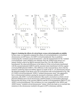 14
Figure 6. Isolating the effects of evolved hosts versus evolved plasmids on stability
In these cases, we separately compared the effects of evolved plasmids or evolved host
chromosomes on GFP decay. (A) AER7 evolved host/plasmid. Due to problems
constructing the “isolated evolved chromosome”, only the measurements for the “isolated
evolved plasmid” strain (AER20) were obtained. Here the AER20 strain decays in a
manner similar to that of an SKO16 ancestral clone (Fig. 5A). (B) AER8 evolved
host/plasmid. We observed differences in the behavior of the evolved strain transformed
with the ancestral plasmid (AER15) and the ancestral strain transformed with the cognate
evolved pAER8 plasmid (AER21). This difference in the measured decay shows that the
mutation conferring improved stability appears to reside on the E. coli chromosome and not
the plasmid (compare to the decay curve for evolved host with evolved plasmid in Fig. 5B).
(C) AER9 evolved host/plasmid. AER16 “isolated chromosome strain” also appeared to
have a chromosomal mutation causing the increased evolutionary stability of GFP
expression. (D) AER11 evolved host/plasmid. This result is inconclusive as both evolved
plasmid (AER24) and evolved chromosome (AER18) display an intermediate phenotype
between the GFP decay of the ancestor (SKO16) and the evolved population (SKO117). (E)
AER12 evolved host/plasmid. This set behaves in a way comparable to the AER16 and
AER19 strains “isolated evolved chromosome” strains, which also leads us to conclude that
mutations in the chromosome resulted in the gain in GFP evolutionary stability.
 