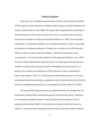 17
CONCLUSIONS
Now that a set of candidate mutations able to increase the evolutionary reliability
of GFP expression from a plasmid is available, further testing is required to determine the
specific mutations that are responsible. We propose three experiments that would help in
characterizing our evolved strains in future work. First, we could test relevant mutants
from the Keio collection of single-gene knockouts (Baba et al., 2006). This experiment
would allow us to determine whether a loss-of-function mutation in a gene is responsible
for the gain in evolutionary robustness. Alternatively, we could use the ASKA plasmid
library to explore if a gain-of-function mutation – functionally equivalent to gene
overexpression – has occurred and contributes to this phenotype (Kitagawa et al., 2005).
Second, to further understand the observed results, we could engineer the specific point
mutations we observed in each gene of interest individually into the ancestral E. coli
genome, then compare the maintenance of GFP expression in these "reconstructed"
strains to the ancestor. Third, we could characterize the mutations present in evolved or
reconstructed strains by performing a competition assays to determine how they affect the
fitness cost of plasmid maintenance (i.e., the metabolic load) (De Gelder et al., 2007).
We expected GFP expression from our synthetic plasmid to be disrupted by new
spontaneous mutations that occurred during growth of the bacterial cultures. Therefore,
we examined the scientific literature related to the genes hit by mutations in the re-
sequenced chromosomes (Table 1) to see whether any had previously been shown to
reduce E. coli mutation rates. Examples of known ways to genetically engineer reduced
 