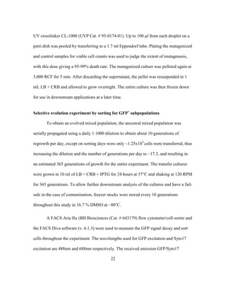 22
UV crosslinker CL-1000 (UVP Cat. # 95-0174-01). Up to 100 μl from each droplet on a
petri dish was pooled by transferring to a 1.7 ml Eppendorf tube. Plating the mutagenized
and control samples for viable cell counts was used to judge the extent of mutagenesis,
with this dose giving a 95-99% death rate. The mutagenized culture was pelleted again at
3,000 RCF for 5 min. After discarding the supernatant, the pellet was resuspended in 1
mL LB + CRB and allowed to grow overnight. The entire culture was then frozen down
for use in downstream applications at a later time.
Selective evolution experiment by sorting for GFP+
subpopulations
To obtain an evolved mixed population, the ancestral mixed population was
serially propagated using a daily 1:1000 dilution to obtain about 10 generations of
regrowth per day, except on sorting days were only ~1.25x105
cells were transferred, thus
increasing the dilution and the number of generations per day to ~17.3, and resulting in
an estimated 365 generations of growth for the entire experiment. The transfer cultures
were grown in 10 ml of LB + CRB + IPTG for 24 hours at 37°C and shaking at 120 RPM
for 365 generations. To allow further downstream analysis of the cultures and have a fail-
safe in the case of contamination, freezer stocks were stored every 10 generations
throughout this study in 16.7 % DMSO at −80°C.
A FACS Aria IIu (BD Biosciences (Cat. # 643179) flow cytometer/cell-sorter and
the FACS Diva software (v. 6.1.3) were used to measure the GFP signal decay and sort
cells throughout the experiment. The wavelengths used for GFP excitation and Syto17
excitation are 488nm and 688nm respectively. The received emission GFP/Syto17
 