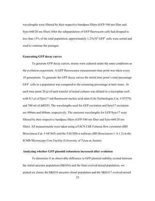 23
wavelengths were filtered by their respective bandpass filters (GFP-540 nm filter and
Syto-660/20 nm filter) After the subpopulation of GFP fluorescent cells had dropped to
less than 15% of the total population, approximately 1.25x105
GFP+
cells were sorted and
used to continue the passages.
Generating GFP decay curves
To generate GFP decay curves, strains were cultured under the same conditions as
the evolution experiment. A GFP fluorescence measurement time point was taken every
10 generations. To generate the GFP decay curves the initial time point’s total percentage
GFP+
cells in a population was compared to the remaining percentage at later times. At
each time point 20 μl of each transfer of tested cultures was diluted in a microplate well
with 0.3 μl of Syto17 red fluorescent nucleic acid stain (Life Technologies Cat. # S7579)
and 380 ml of ddH2O. The wavelengths used for GFP excitation and Syto17 excitation
are 488nm and 688nm, respectively. The emission wavelengths for GFP/Syto17 were
filtered by their respective bandpass filters (GFP-540 nm filter and Syto-660/20 nm
filter). All measurements were taken using a FACS LSR Fortessa flow cytometer (BD
Biosciences Cat. # 647465) and the FACSDiva software (BD Biosciences v. 6.1.3) at the
ICMB Microscopy Core Facility (University of Texas at Austin).
Analyzing whether GFP plasmid robustness increased after evolution
To determine if an observable difference in GFP plasmid stability existed between
the initial ancestor population (SKO16) and the final evolved mixed population, we
picked six clones the SKO16 ancestor clonal population and the SKO117 evolved mixed
 