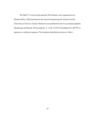 25
The SKO117 evolved clone genomic DNA libraries were sequenced on an
Illumina HiSeq 2500 instrument at the Genome Sequencing and Analysis Facility
(University of Texas at Austin). Mutations were predicted by the breseq analysis pipeline
(Deatherage and Barrick, 2014) using the E. coli K 12 W3110 (GenBank NC_007779.1)
genome as a reference sequence. The mutations identified are shown in Table 1.
 