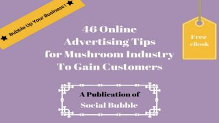 46 online advertising tips for mushroom industry to gain customers