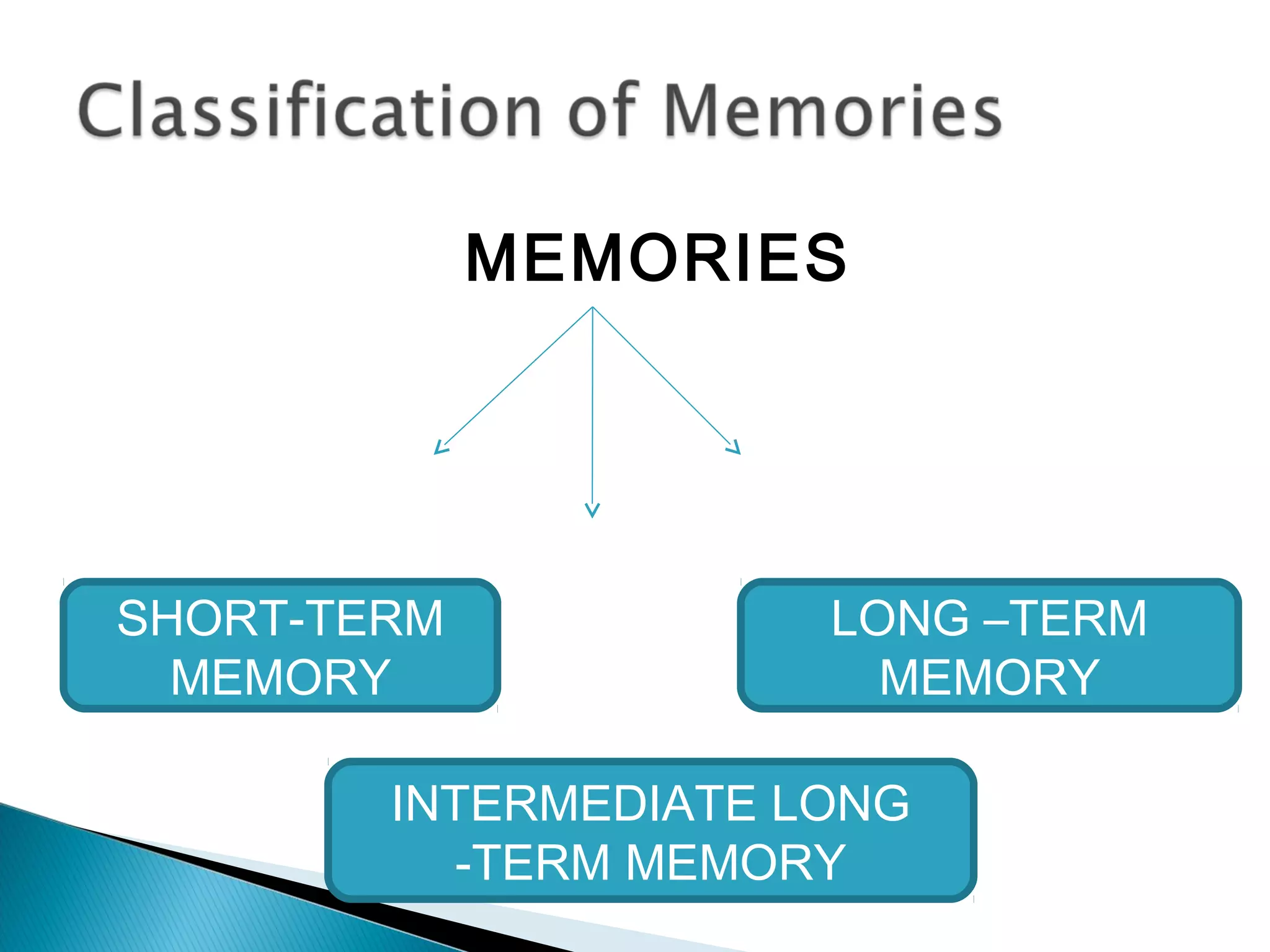 MEMORIES
SHORT-TERM
MEMORY
INTERMEDIATE LONG
-TERM MEMORY
LONG –TERM
MEMORY
 
