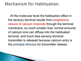 At the molecular level the habituation effect in
the sensory terminal results from progressive
closure of calcium channels through the terminal
membrane, so much smaller than normal amounts
of calcium ions can diffuse into the habituated
terminal, and much less sensory terminal
transmitter is released because calcium entry is
the principal stimulus for transmitter release.
 