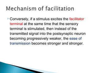  Conversely, if a stimulus excites the facilitator
terminal at the same time that the sensory
terminal is stimulated, then instead of the
transmitted signal into the postsynaptic neuron
becoming progressively weaker, the ease of
transmission becomes stronger and stronger.
 
