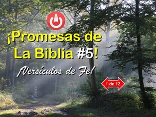 ¡¡Promesas dePromesas de
La BibliaLa Biblia #5#5!!
¡Versículos de Fe!¡Versículos de Fe!
1 de 121 de 12
 
