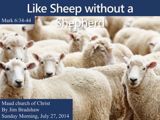 Like Sheep without a
ShepherdMark 6:34-44
Maud church of Christ
By Jim Bradshaw
Sunday Morning, July 27, 2014
 