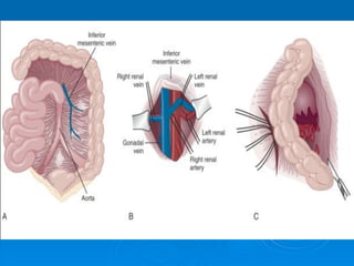 CHẤN THƯƠNG VÀ VẾT THƯƠNG THẬN