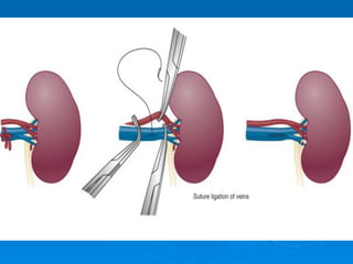 CHẤN THƯƠNG VÀ VẾT THƯƠNG THẬN