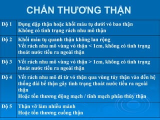 CHẤN THƯƠNG THẬN
Thận vỡ làm nhiều mảnh
Hoặc tổn thương cuống thận
Độ 5
Vết rách nhu mô đi từ vỏ thận qua vùng tủy thận vào đến hệ
thống đài bể thận gây tình trạng thoát nước tiểu ra ngoài
thận
Hoặc tổn thương động mạch / tĩnh mạch phân thùy thận
Độ 4
Vết rách nhu mô vùng vỏ thận > 1cm, không có tình trạng
thoát nước tiểu ra ngoài thận
Độ 3
Khối máu tụ quanh thận không lan rộng
Vết rách nhu mô vùng vỏ thận < 1cm, không có tình trạng
thoát nước tiểu ra ngoài thận
Độ 2
Đụng dập thận hoặc khối máu tụ dưới vỏ bao thận
Không có tình trạng rách nhu mô thận
Độ 1
 