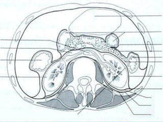 CÁC PHƯƠNG PHÁP CHẨN ĐOÁN BỆNH SỎI THẬN  OPC