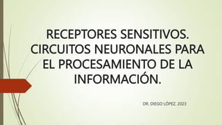 RECEPTORES SENSITIVOS.
CIRCUITOS NEURONALES PARA
EL PROCESAMIENTO DE LA
INFORMACIÓN.
DR. DIEGO LÓPEZ. 2023
 