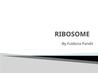 Ribosome ppt structure and functions overview | PPTX