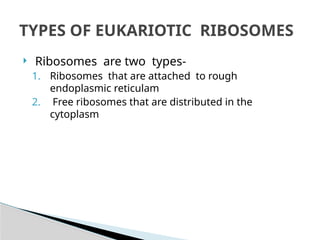 Ribosome ppt structure and functions overview | PPTX