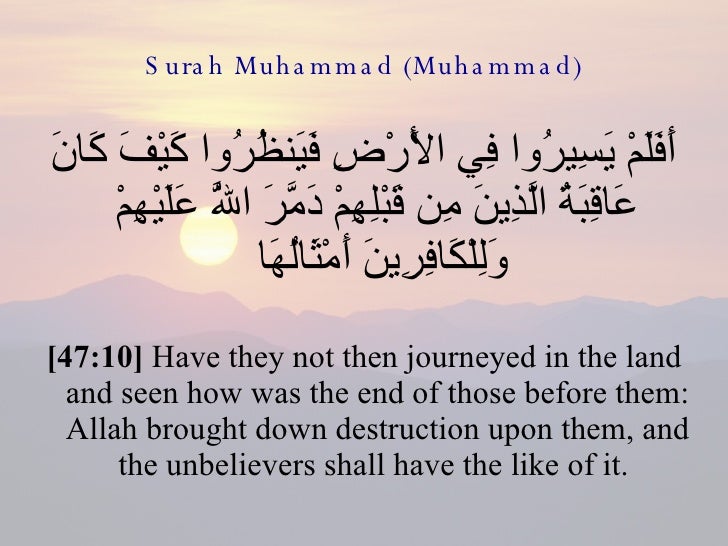 يفترض جرار زراعى موز أفلم يسيروا في الارض فينظروا Lucianicastiglia It