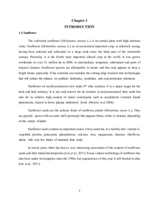 1
Chapter 1
INTRODUCTION
1.1 Sunflower
The cultivated sunflower (Helianthus annuus L.) is an annual plant with high nutrition
value. Sunflower (Helianthus annuus L.) as an economical important crop, is relatively young,
having been selected and cultivated on a large scale since the latter part of the nineteenth
century. Presently, it is the fourth most important oilseed crop in the world. It was grown
worldwide on over 21 million ha in 2000, in intermediate, temperate, subtropical and parts of
tropical climates. Sunflower species are allelopathic in nature and this crop appears to have a
bright future, especially if the scientists can translate the cutting-edge research into technologies
that will reduce the reliance on synthetic herbicides, pesticides, and crop protection chemicals.
Sunflower oil world production now ranks 4th after soybean. It is a major target for the
food and feed industry. It is not only known for its richness in polyunsaturated fatty acids but
also for its relative high content of miner constituents such as tocopherols (vitamin E)and
phytosterols, known to lower plasma cholesterol levels (Hewezi et al 2004).
Sunflower seeds are the achenes fruits of sunflower plants (Helianthus annus L.), They
are grayish –green with an outer shell (pericarp) that appears black, white or striated, depending
on the variety of plant.
Sunflower seeds contain an important source of key nutrients in a healthy diet: vitamin E,
vegetable protein, potassium, phosphorous, calcium, iron, magnesium, thiamin, riboflavin,
niacin, with very low intake of saturated fatty acids.
In recent years, there has been a very interesting assessment of the content of sunflower
seeds and their medicinal properties (Liu et al., 2011).Tissue culture technology of sunflower has
also been under investigation since the 1980s, but regeneration of this crop is still limited to date
(Liu et al., 2011).
 