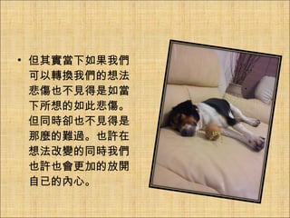 但其實當下如果我們可以轉換我們的想法悲傷也不見得是如當下所想的如此悲傷。 但同時卻也不見得是那麼的難過。也許在想法改變的同時我們也許也會更加的放開自已的內心。 