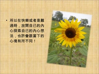 所以在快樂或者是難過時，放開自已的內心探索自已的內心想法，也許會跟當下的心境有所不同！ 