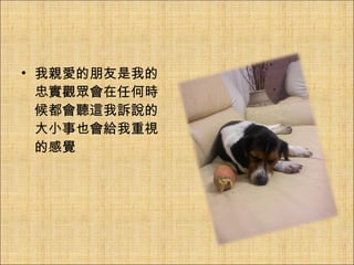 我親愛的朋友是我的忠實觀眾會在任何時候都會聽這我訴說的大小事也會給我重視的感覺 