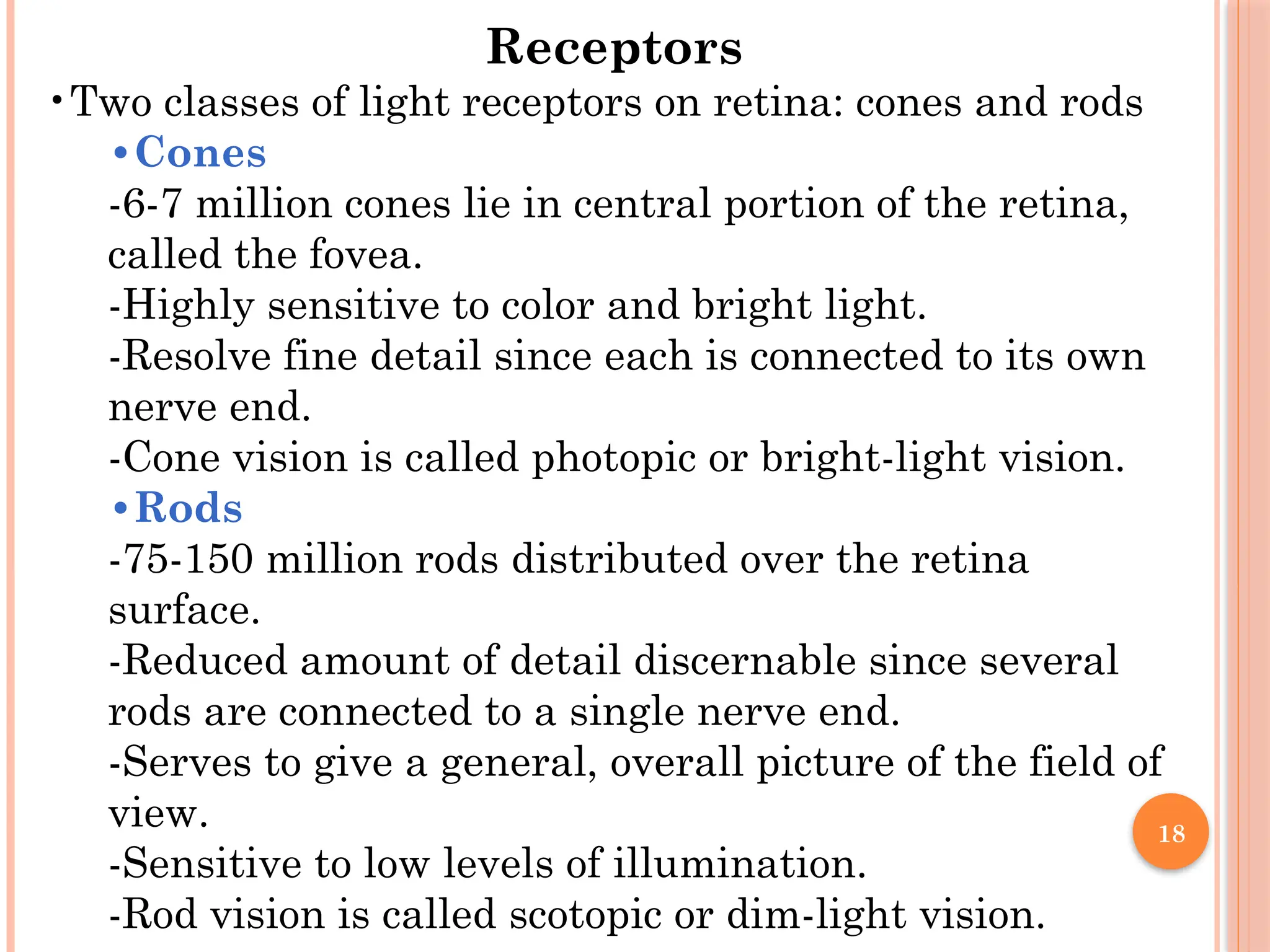 18
Receptors
•Two classes of light receptors on retina: cones and rods
•Cones
-6-7 million cones lie in central portion of the retina,
called the fovea.
-Highly sensitive to color and bright light.
-Resolve fine detail since each is connected to its own
nerve end.
-Cone vision is called photopic or bright-light vision.
•Rods
-75-150 million rods distributed over the retina
surface.
-Reduced amount of detail discernable since several
rods are connected to a single nerve end.
-Serves to give a general, overall picture of the field of
view.
-Sensitive to low levels of illumination.
-Rod vision is called scotopic or dim-light vision.
 