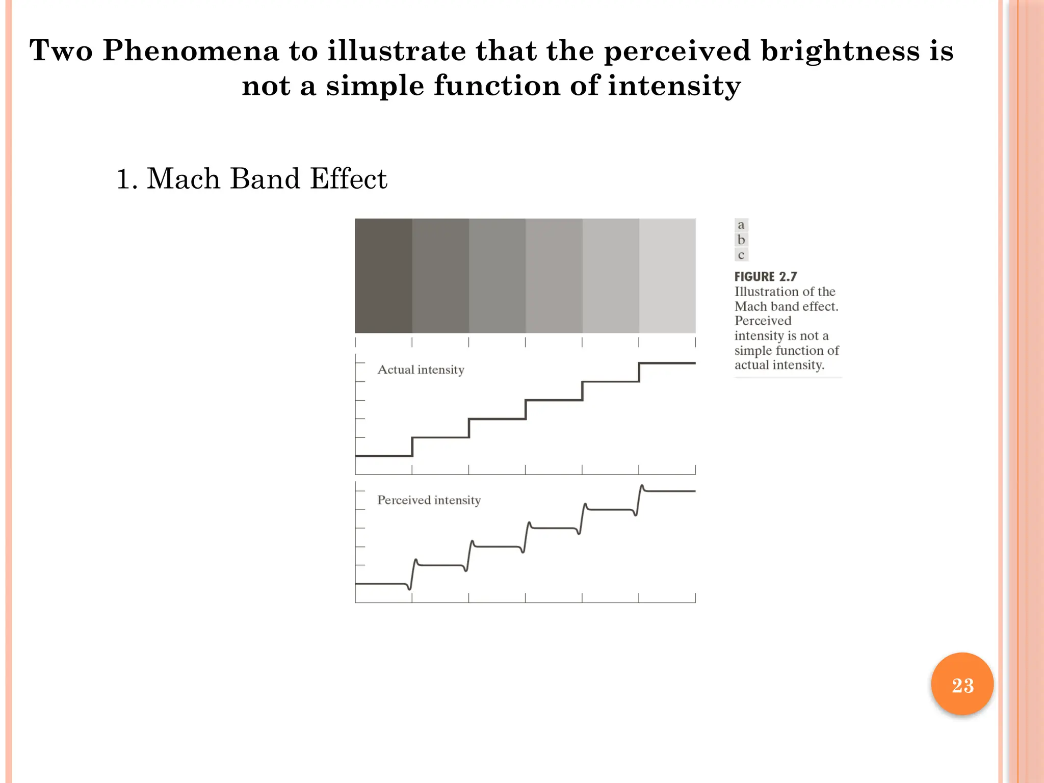 23
1. Mach Band Effect
Two Phenomena to illustrate that the perceived brightness is
not a simple function of intensity
 