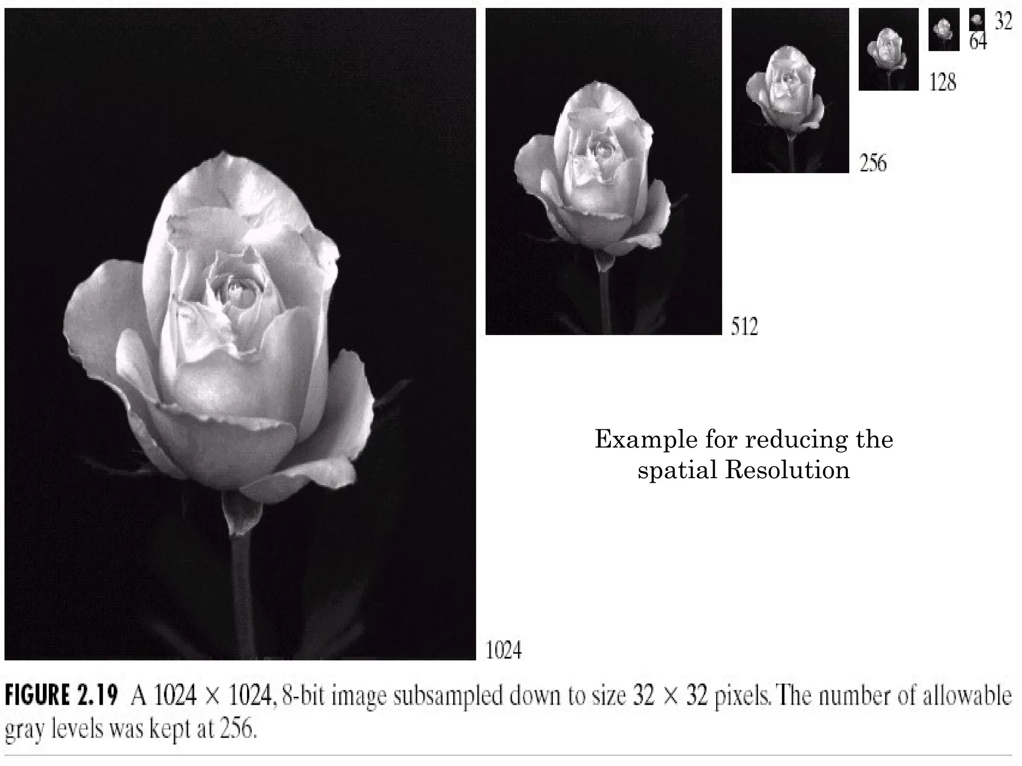 38
Example for reducing the
spatial Resolution
 