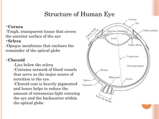 16
Structure of Human Eye
•Cornea
-Tough, transparent tissue that covers
the anterior surface of the eye
•Sclera
-Opaque membrane that encloses the
remainder of the optical globe
•Choroid
-Lies below the sclera
-Contains network of blood vessels
that serve as the major source of
nutrition to the eye.
-Choroid coat is heavily pigmented
and hence helps to reduce the
amount of extraneous light entering
the eye and the backscatter within
the optical globe
 