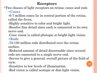 18
Receptors
•Two classes of light receptors on retina: cones and rods
•Cones
-6-7 million cones lie in central portion of the retina,
called the fovea.
-Highly sensitive to color and bright light.
-Resolve fine detail since each is connected to its own
nerve end.
-Cone vision is called photopic or bright-light vision.
•Rods
-75-150 million rods distributed over the retina
surface.
-Reduced amount of detail discernable since several
rods are connected to a single nerve end.
-Serves to give a general, overall picture of the field of
view.
-Sensitive to low levels of illumination.
-Rod vision is called scotopic or dim-light vision.
 