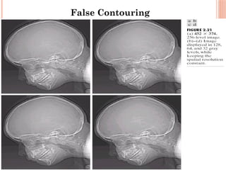 36
False Contouring
 
