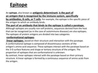 What is an Antibody?Immunoglobulins: Classes and Sub classes | PPTX
