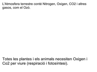 Totes les plantes i els animals necesiten Oxigen i Co2 per viure (respiració i fotosíntesi). L'Atmosfera terrestre conté Nitrogen, Oxigen, CO2 i altres gasos, com el Ozó. 
